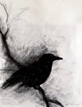 Рисунки углем для начинающих