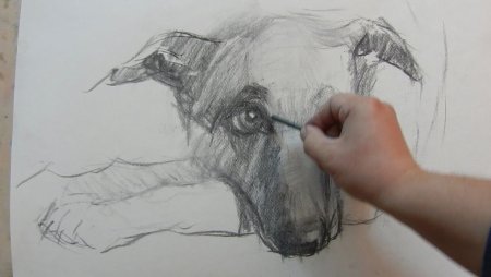 Рисование углем для начинающих