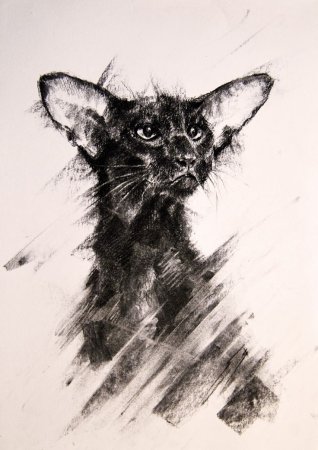 Рисунки углем