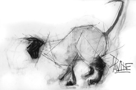 Рисунок кошки углем