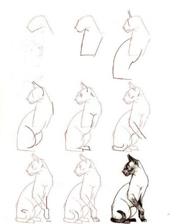 Схема рисования кошки