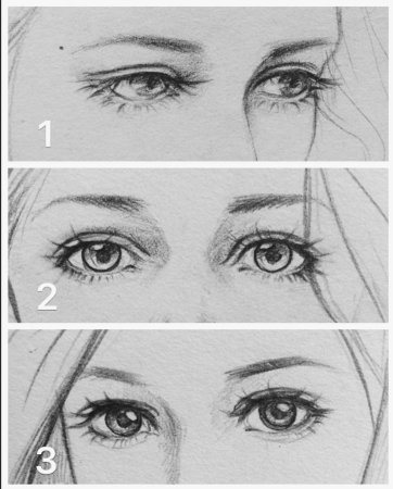 Уроки рисования портрета