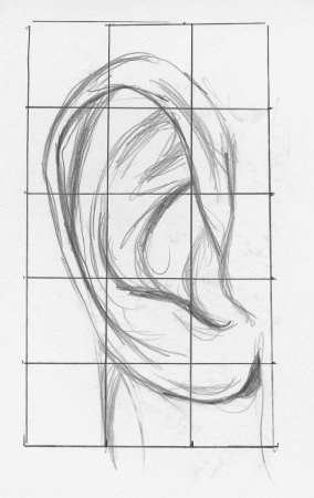 Уроки рисования лошади