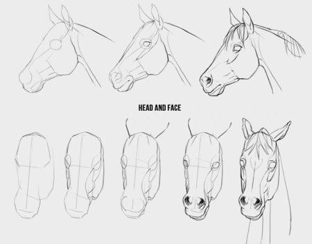 Поэтапное рисование кошки