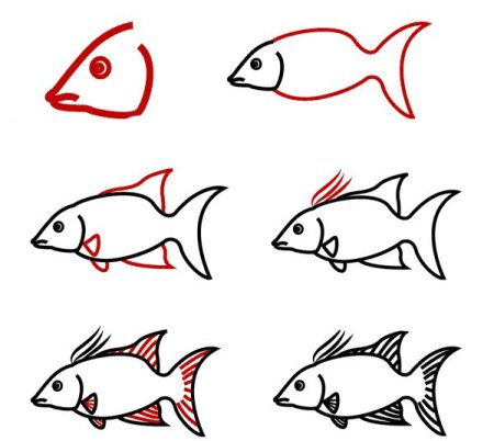 Поэтапное рисование рыбки для дошкольников