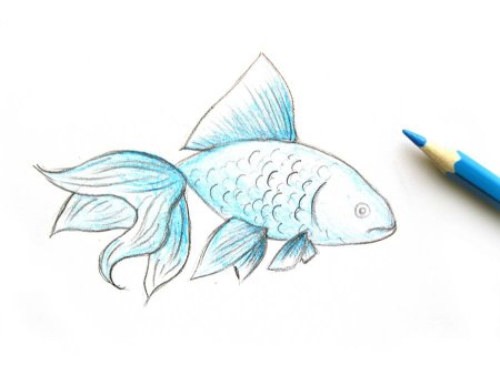 Рисование рыбы