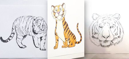 Рисунок тигра в школу