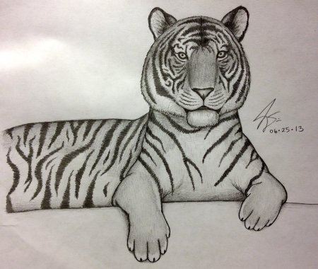Рисунок тигра легкий