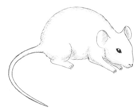 Мышь для рисования