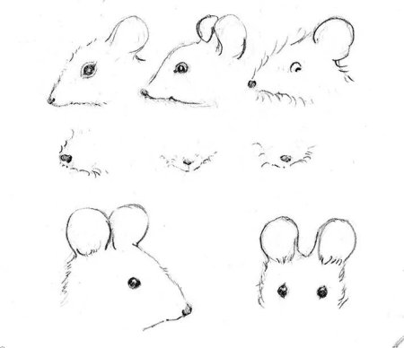 Поэтапное рисование мышки