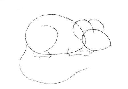 Поэтапное рисование мыши