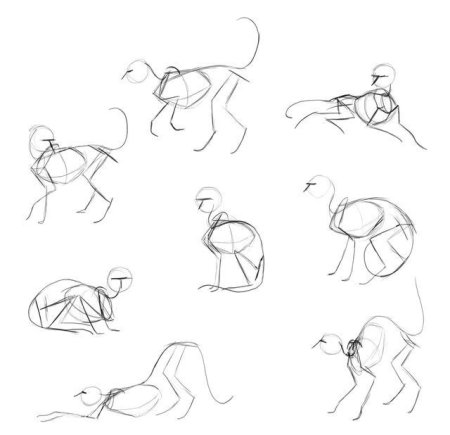 Кошачьи позы для рисования