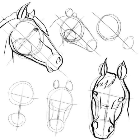 Рисование головы лошади