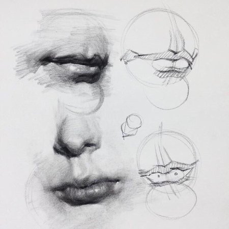 Части лица карандашом
