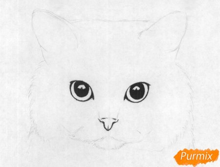 Рисунки для срисовки лёгкие котята