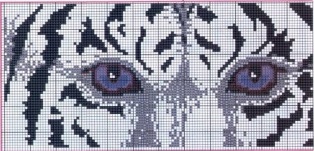 Схема тигра