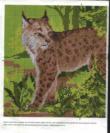 Риолис Рысь вышивка крестом