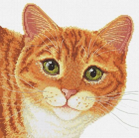 Вышивка рыжий кот