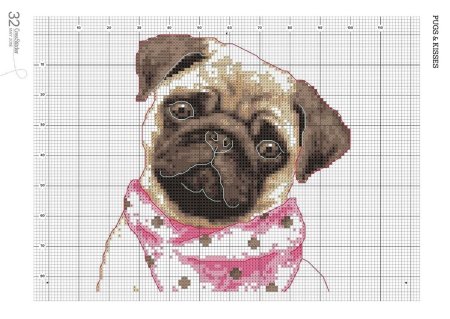 Золотое Руно Мопс