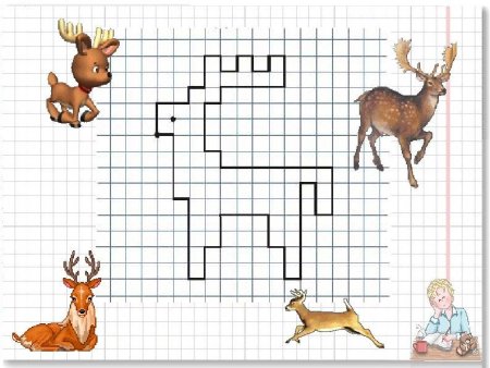 Графический диктант животные