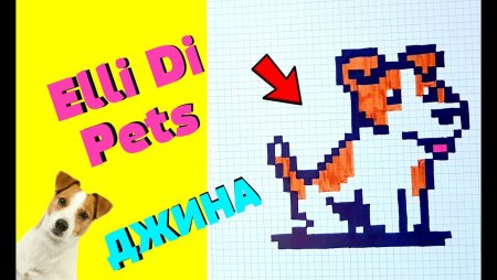 Рисунки по клеткам Джина