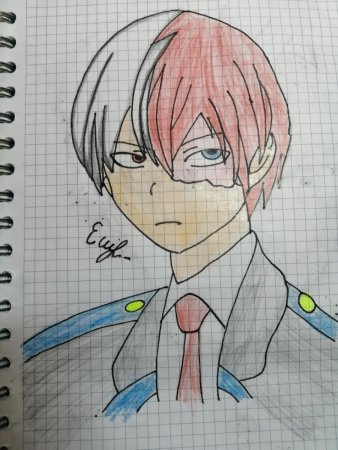 Тодороки по клеточкам