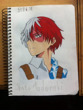 Шота Айзава и шото Тодороки