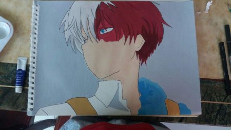 Вышивка крестиком Тодороки шото