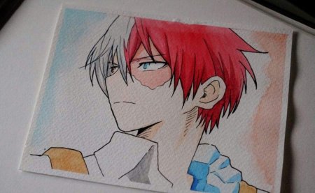 Раскраска моя геройская Академия Тодороки