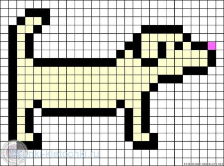 Рисунки потклетточкамм