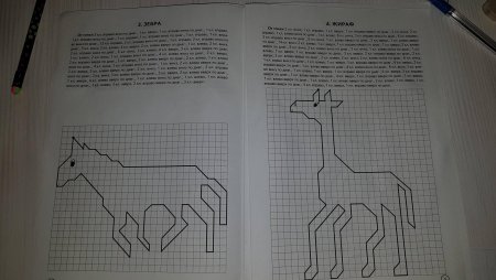Графический диктант для дошкольников животные