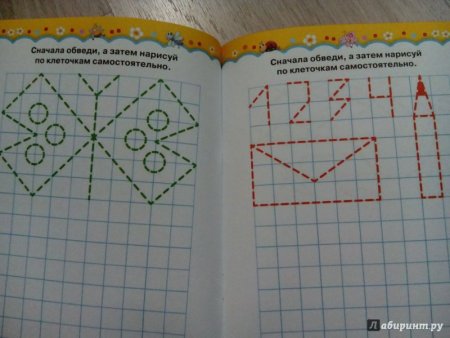 Книга по клеточкам