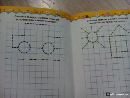 Книга по клеточкам