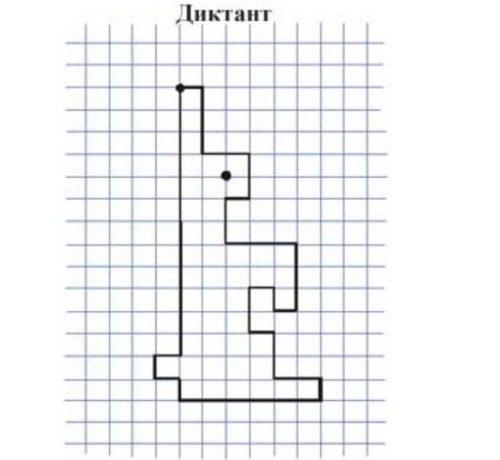 Графический диктант заяц