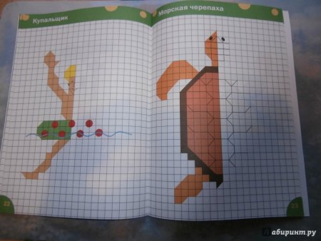 Рисование по клеточкам книга