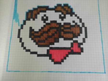 Рисунки по клеточкам