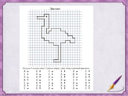 Графические диктанты. Птицы (для детей 4-6 лет)