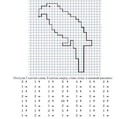 Графический диктант попугай по клеточкам для дошкольников