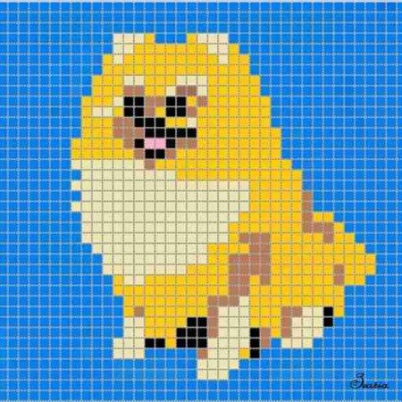 Собака по клеткам