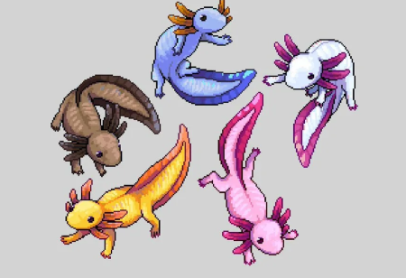 Аксолотль из пинтереста