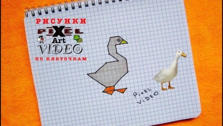 Рисование по клеточкам гуся