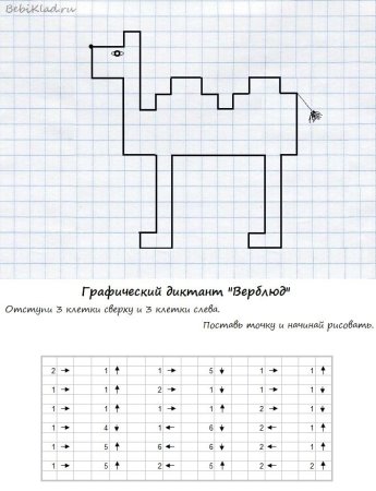 Графический диктант для дошкольников верблюд