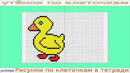 Утенок по клеткам