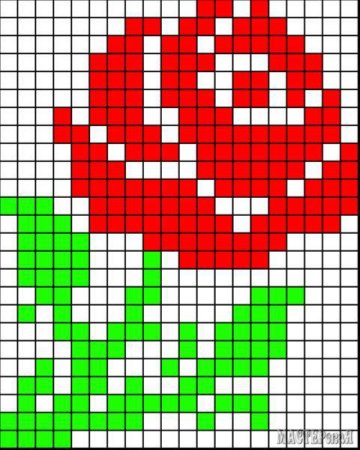 Цветы в клеточку