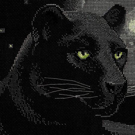 Риолис пантера