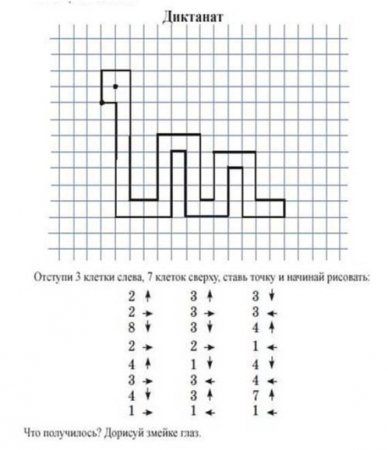 Графический диктант крупная клетка