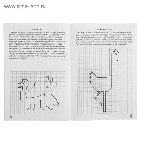 Графические диктанты. Птицы (для детей 4-6 лет)