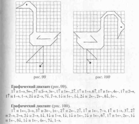 Графический диктант цапля