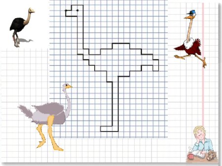 Графический диктант страус