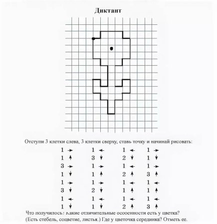 Графический диктант белка по клеточкам для дошкольников